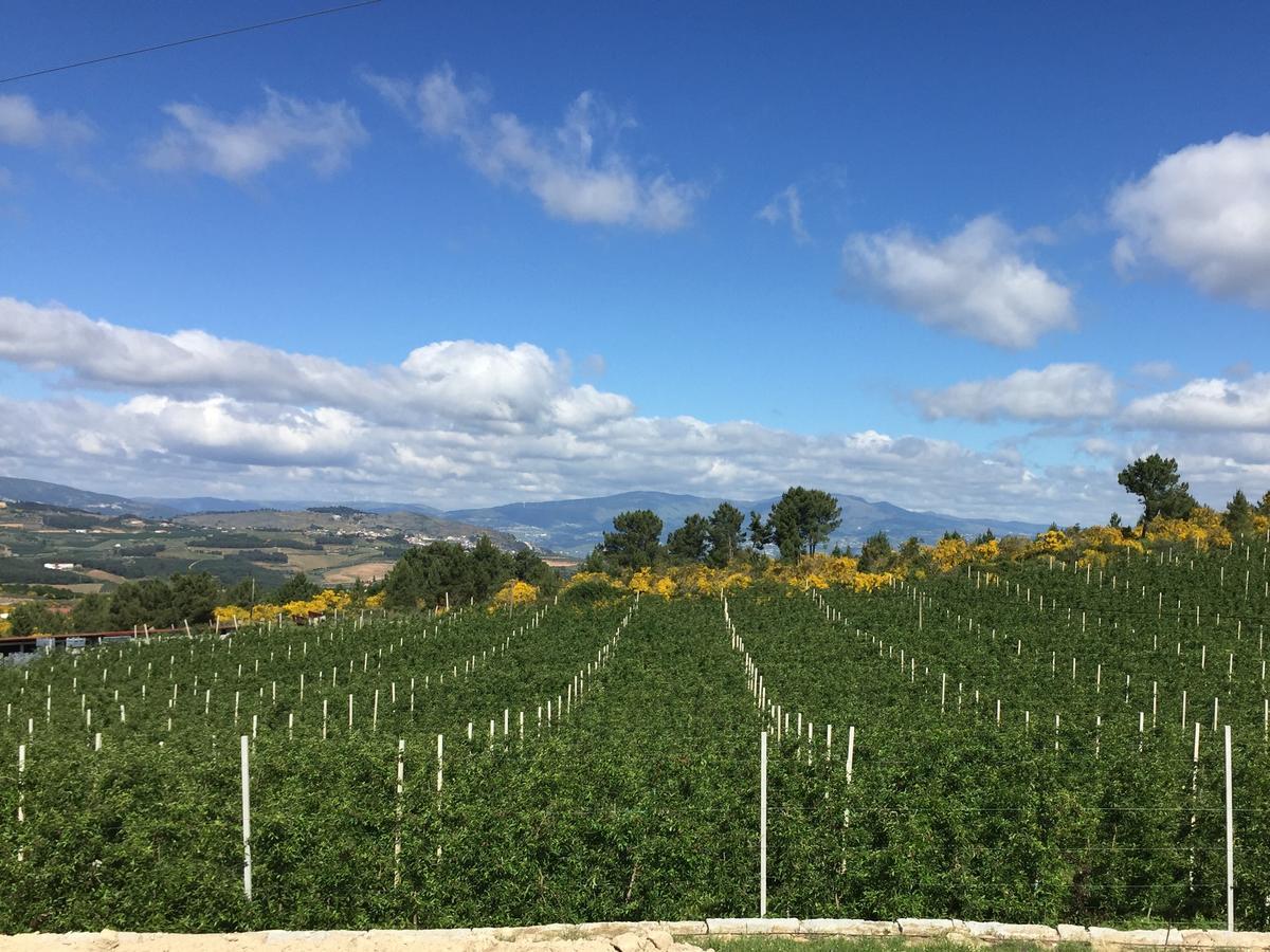 Quinta Bemboa Turismo Espaco Rural Aricera Eksteriør billede