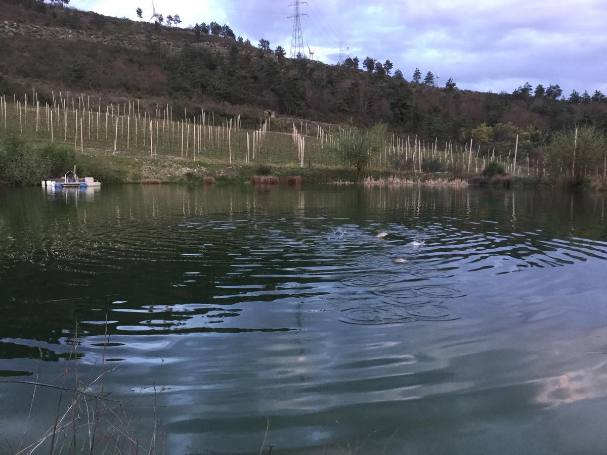 Quinta Bemboa Turismo Espaco Rural Aricera Eksteriør billede