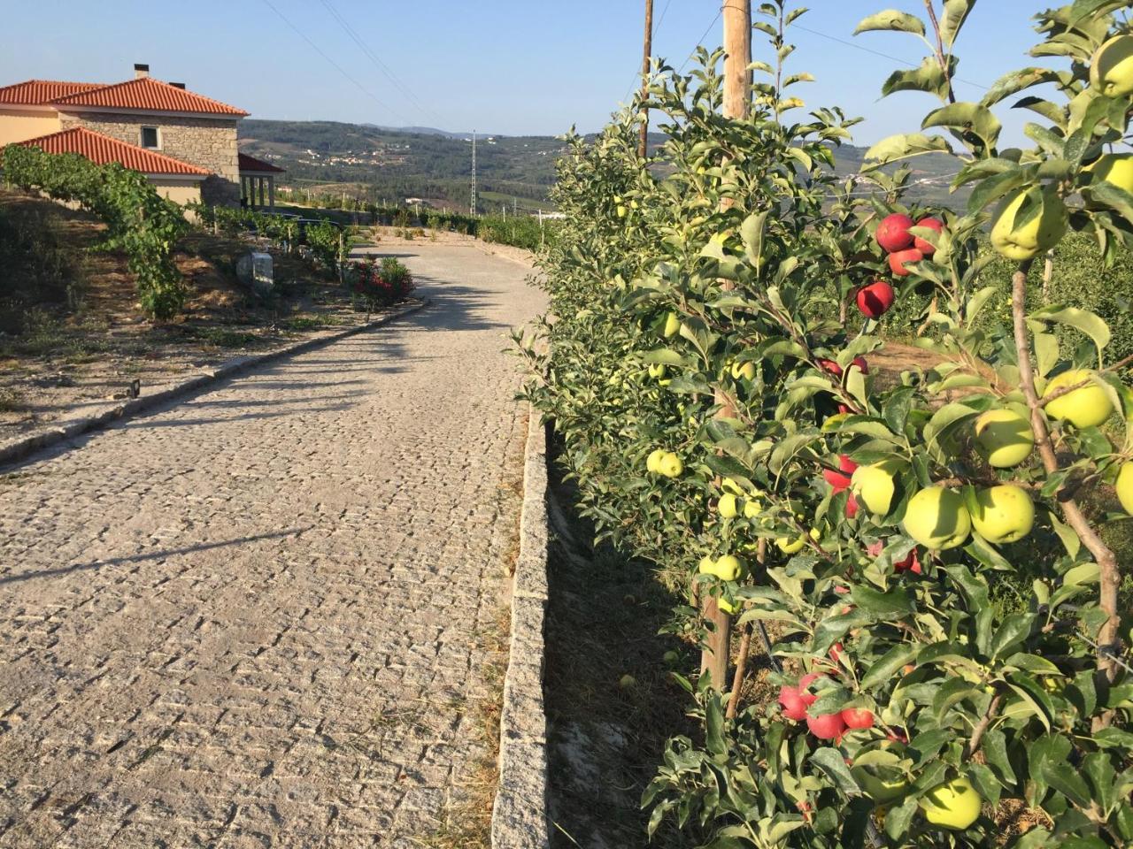 Quinta Bemboa Turismo Espaco Rural Aricera Eksteriør billede