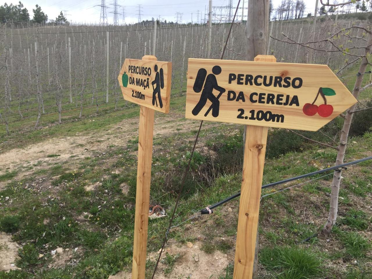 Quinta Bemboa Turismo Espaco Rural Aricera Eksteriør billede
