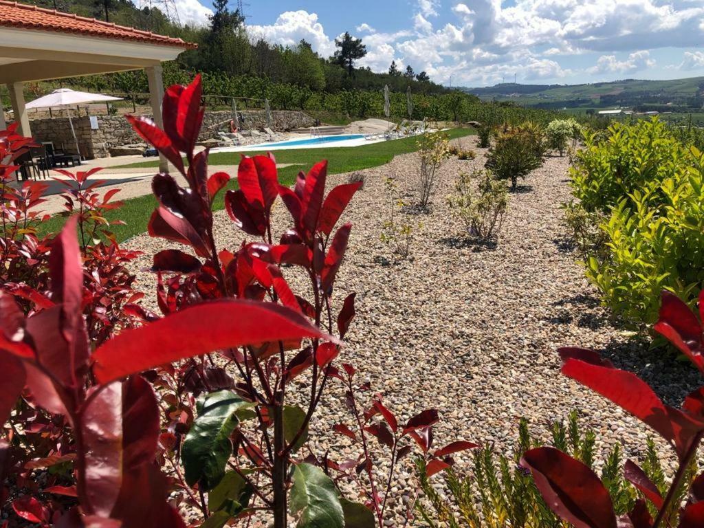 Quinta Bemboa Turismo Espaco Rural Aricera Eksteriør billede