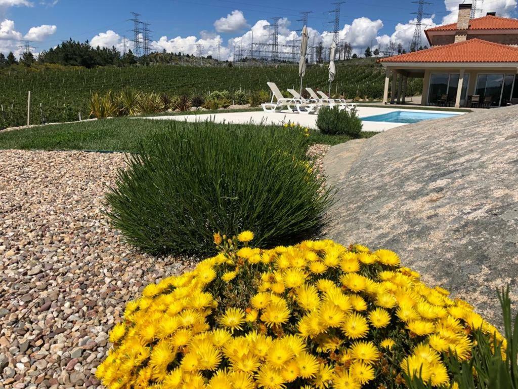 Quinta Bemboa Turismo Espaco Rural Aricera Eksteriør billede